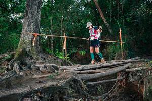 BIB: 
                            <button type="button" onclick="openModal(27561977)" class="btn btn-primary btn-sm float-right btn-popup" data-toggle="modal" data-target=".modal-high-quality">
                        <i class="fas fa-shopping-cart"></i> Add to Cart
                    </button>
                                            <button type="button" onclick="isThisMe(27561977, true)" class="btn btn-success btn-sm float-right btn-popup btn-isme hidden" data-toggle="tooltip" data-placement="bottom" title="นี่คือรูปของคุณใช่ไหม คลิกที่นี่เพื่อเอาเข้าอัลบั้ม">
                        <i class="fas fa-plus"></i> Add to album
                    </button>
                    <button type="button" onclick="isThisMe(27561977, false)" class="btn btn-warning btn-sm float-right btn-popup btn-isnotme hidden">
                        <i class="fas fa-ban"></i> Remove from album
                    </button>